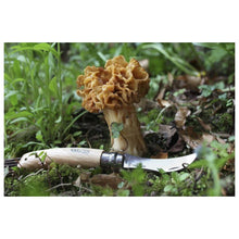 Charger l'image dans la galerie, Couteau À Champignons Opinel N° 8 # 008Ch Outils Divers
