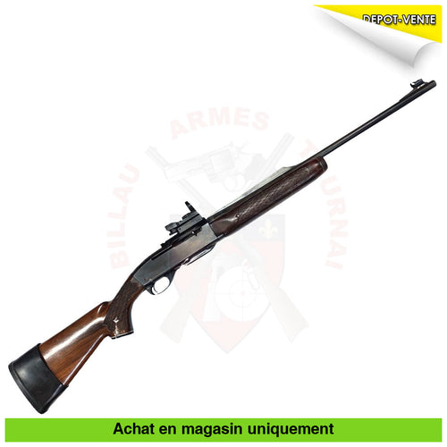 Carabine semi-auto Remington 742 cal. 280 Rem + Point Rouge + Munitions + ... Carabines semi-auto
