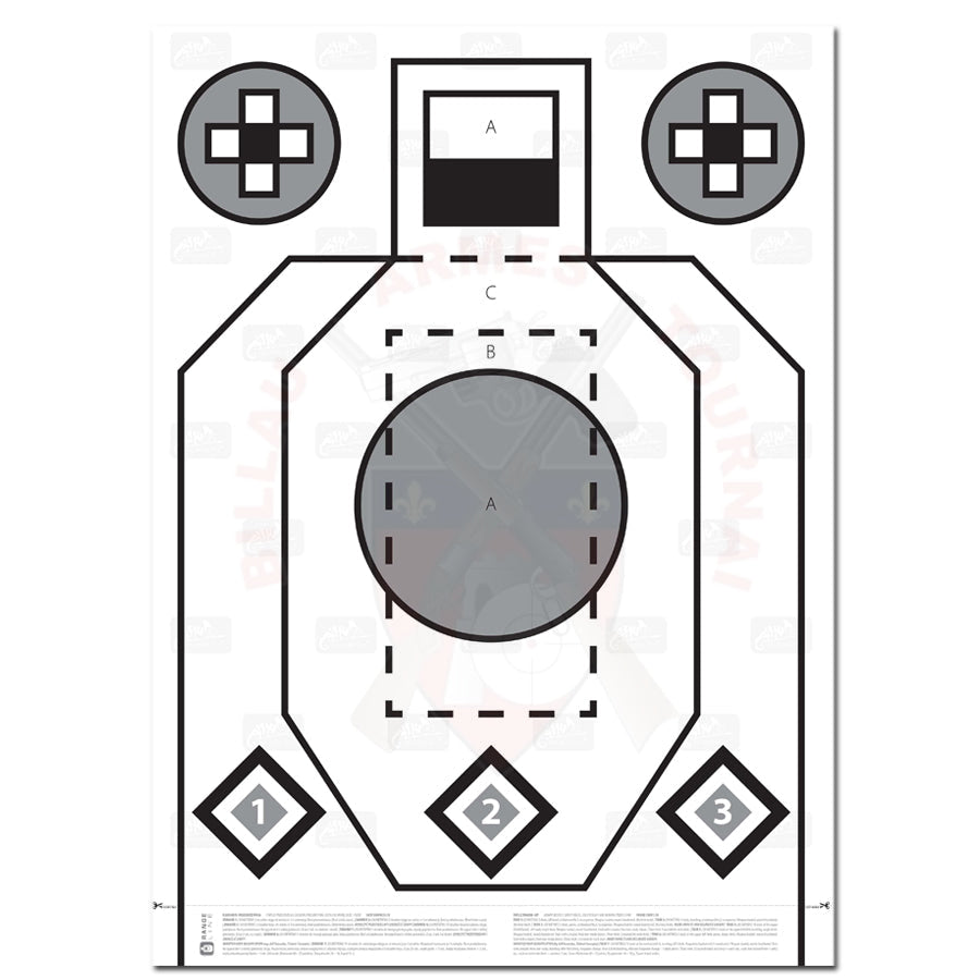 Cible 70X50Cm Helikon-Tex Rxqt (Rifle Excercise/Qualification Target) Papier (Type Ipsc) Ciblerie