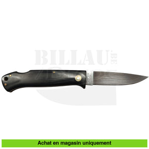 Couteau pliant Kershaw VG10 Couteaux pliants de chasse