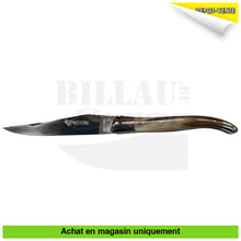 Charger l&#39;image dans la galerie, Couteau pliant Laguiole Corne Compostelle + étui cuir Couteaux pliants français