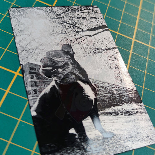 Gravures Laser Photo - Réaliste Gravure & Découpe