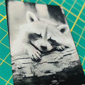 Gravures Laser Photo - Réaliste Gravure & Découpe