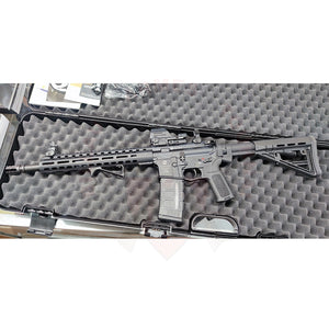 Montage Point Rouge Falke + Angled Grip UTG sur Schmeisser AR15 Montage & Réglage Optiques