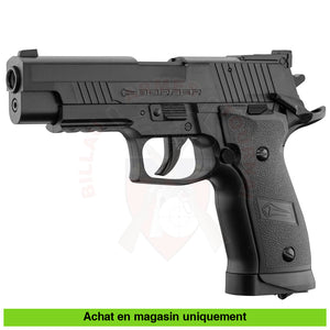 Pistolet À Plombs Gnb Co2 Borner Z122 (P226 Xfive).177Bb Armes De Poing