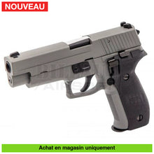 Charger l&#39;image dans la galerie, Pistolet Gbb Raven Sig Sauer P226 (R226) Full Métal Gris Répliques De Poing Airsoft