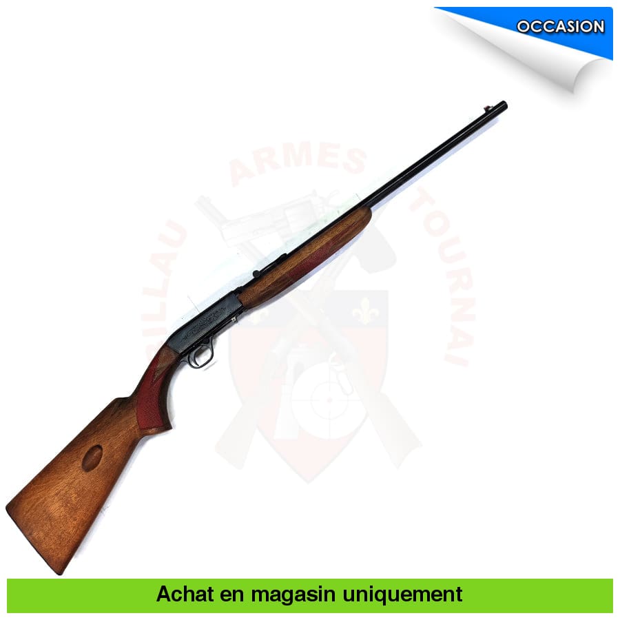 Carabine Semi-Auto Fn Herstal Démontable Cal. 22 Short Carabines (Occasion)