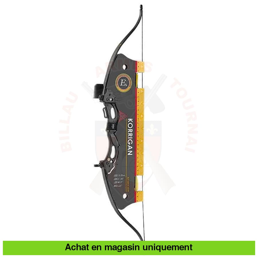 Arc Système - Ensemble Pro 16 Recurve